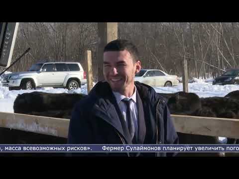 Видео: Как грант помог фермеру