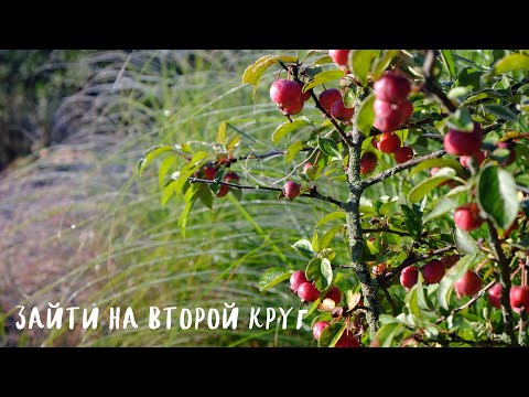 Видео: зайти на второй круг