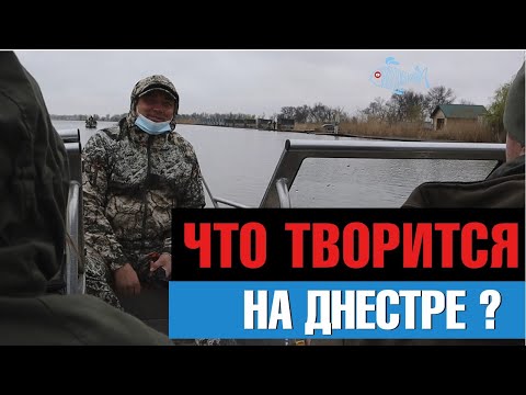 Видео: Оккупация берегов Днестра идет полным ходом!