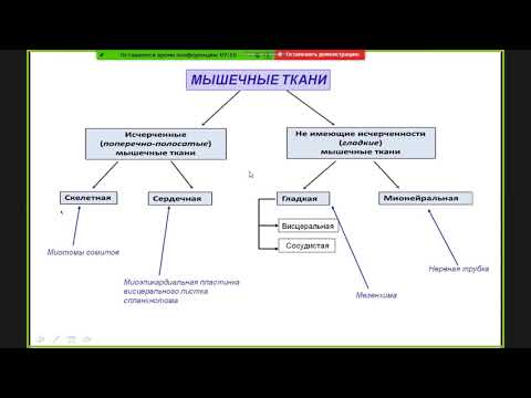 Видео: Консультация к 3 коллоквиуму  - Кутукова К.А.