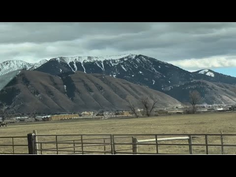 Видео: На пути к круизу
