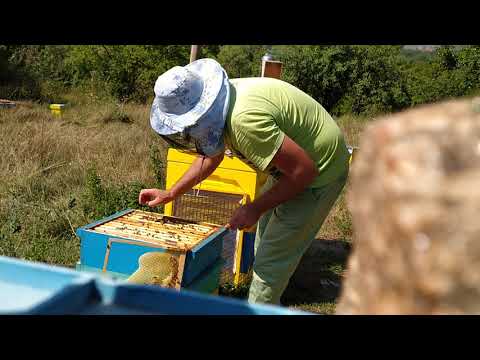 Видео: Поставяне на ленти по Аржентинската рецепта