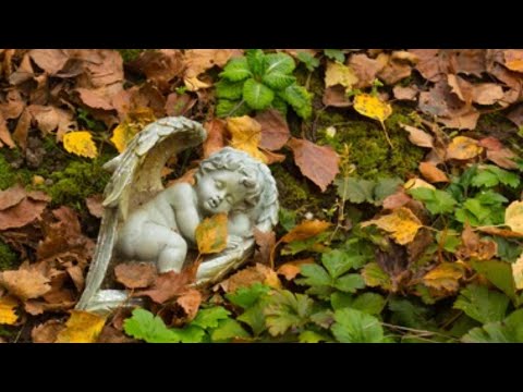 Видео: Антенатальная гибель плода/ 36 недель/ моя история