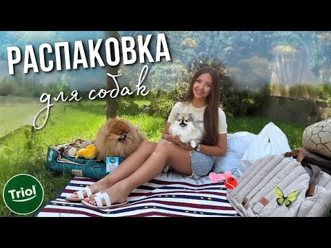Видео: Летняя распаковка товаров для животных 🐾 Лежанки, игрушки, вкусные новинки от TRIOL 🐶
