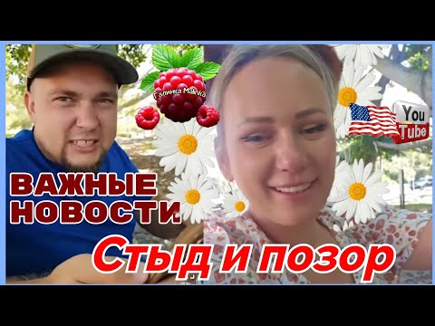 Видео: Лиса в Америке /Важные новости /Стыд и позор /Обзор /Funny 4 /Big Big Family in the USA /
