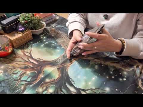 Видео: Ще има ли развитие създалата се ситуация?