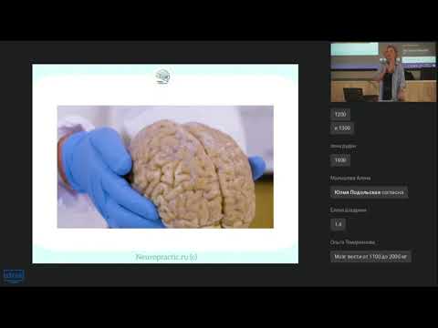 Видео: Нейропсихология. Пунина Юлия Сергеевна