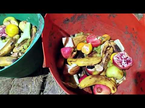 Видео: СТОЙЛОВОЕ СОДЕРЖАНИЕ СКОТА