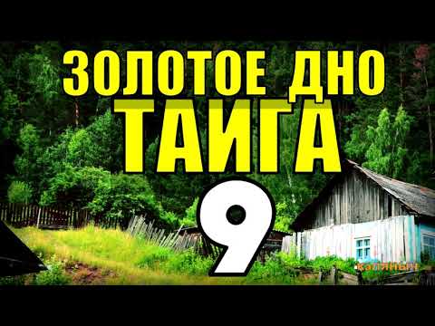 Видео: 20 ЛЕТ В ТАЙГЕ | ЗОЛОТАЯ ЛИХОРАДКА | КЛАДОИСКАТЕЛИ и ПОИСКИ КЛАДОВ | ТАЕЖНЫЙ ТУПИК 9