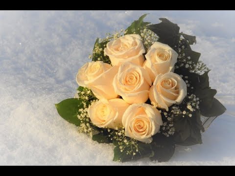 Видео: "Белые розы" на английском (White Roses)