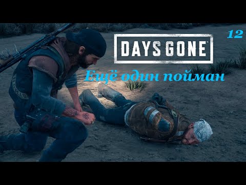 Видео: Прохождение Days Gone №12 #daysgone