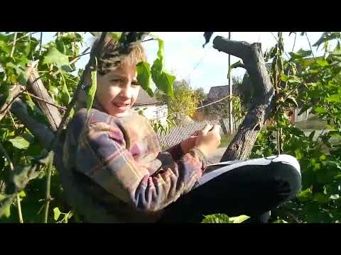 Видео: 33 часть про базу 