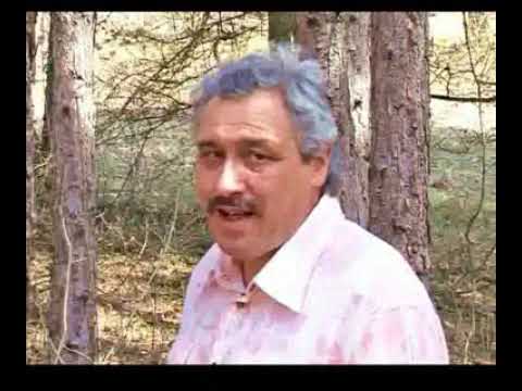 Видео: Георги Гьолски - Соколица  / Georgi Gyolski - Sokolica