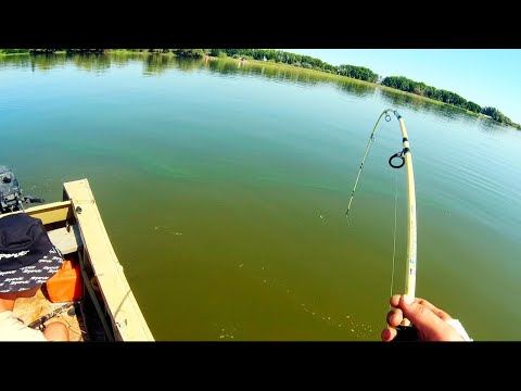 Видео: ПЕРВЫЙ РАЗ НА КВОК!! ПОЙМАЛИ МНОГО СОМОВ