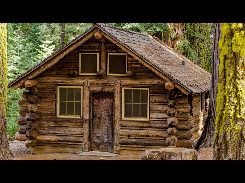 Видео: "Общежитие призраков". Евгений Чеширко.