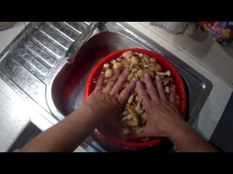 Видео: Почистить-перебрать грибы (опята)