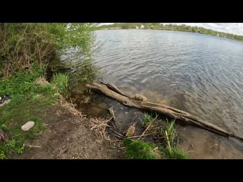 Видео: рыбалка на ТЕТЕРИНСКОМ вдх