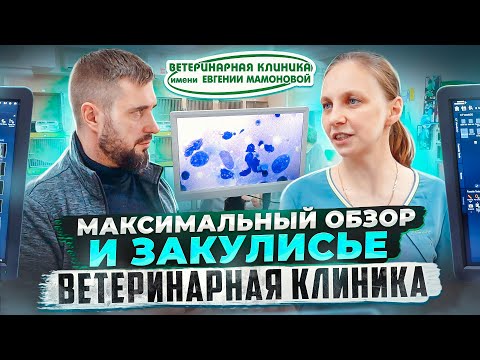 Видео: Закулисье ветеринарной клиники | То, что не видят клиенты | Ветеринарная клиника