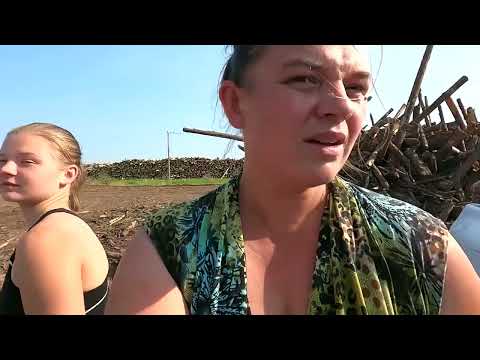 Видео: Заготовка дров на зиму