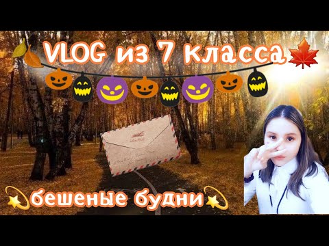 Видео: SophieLee_ VLOG семи классницы|Бешенные будни|контрольные работы🙈|Осень_Misha