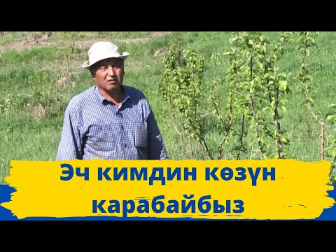 Видео: Элет баяны // Жылалды айыл өкмөтү