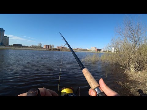 Видео: Рыбалка в Городе 2022 от первого лица. Тура. Тюмень.