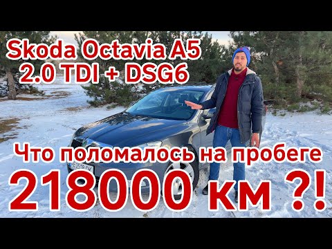 Видео: Обзор-Отзыв: Skoda Octavia A5 2.0 TDI + DSG6, сравнение с Renault Megane 3.