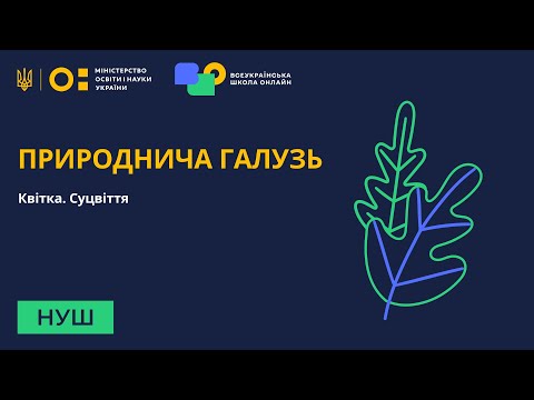 Видео: Природнича галузь. Квітка. Суцвіття