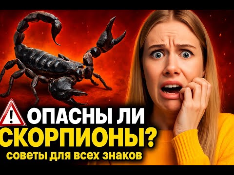 Видео: Кто такие Скорпионы НА САМОМ ДЕЛЕ? Как понравиться Скорпиону и построить с ним отношения?