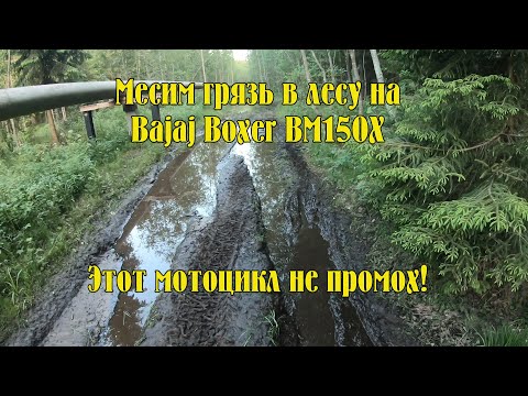 Видео: Месим гряз в лесу на Bajaj Boxer BM 150X. Этот мотоцикл способен на многое. Отвечаю на вопросы.