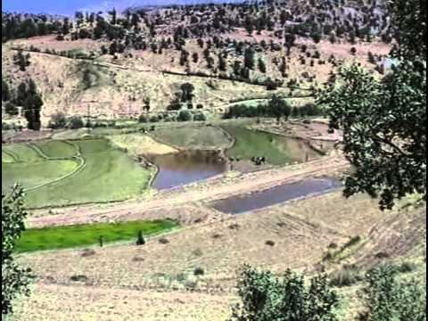 Видео: Золотой глобус 102. Иран.