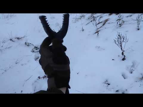 Видео: Опора Vanguard QUEST T62U,брать или нет,выбор.