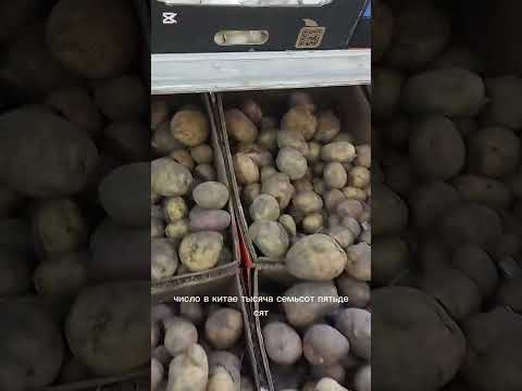 Видео: 16 октября 2025 г.