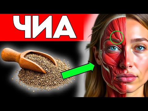Видео: Польза Семян Чиа: Что Происходит С Вашим Телом, Когда Вы Принимаете Их Ежедневно — Как Использовать