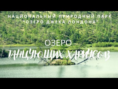 Видео: Озеро Танцующих Хариусов.
