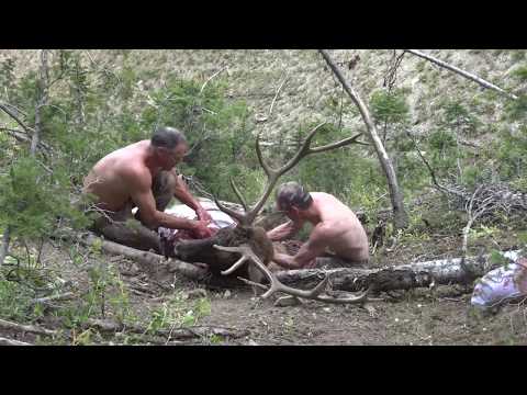 Видео: Элквилл 2: охота на лося с вьючными козами