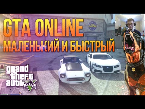 Видео: GTA V Online (PC) - Маленький и Быстрый!