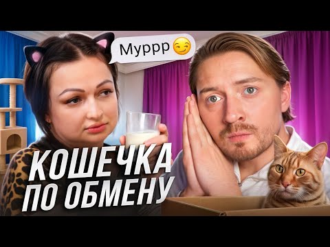 Видео: БЕРЕМЕННА ПО ОБМАНУ | Кошачья императрица