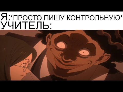 Видео: Дневная подборка мемов 976