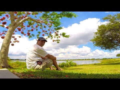Видео: Моя американская деревня (Boca Raton)