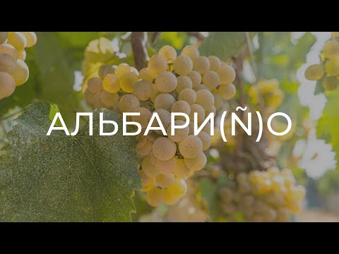 Видео: Альбариньо. Белый сорт №1 в Испании