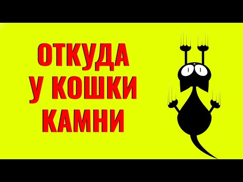 Видео: Как снизить шанс появления у кошки МКБ (мочекаменной, струвиты). Читайте описание