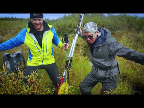 Видео: Ягельными полянами