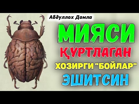 Видео: Миясига қурт тушган бойлар...|Абдуллох Домла |Abdulloh Domla #ilmnuri #abdullohdomla #yangimaruza 