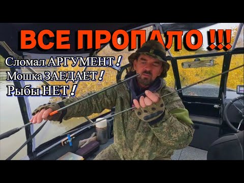 Видео: ВСЕ ПРОПАЛО !!! Сломал АРГУМЕНТ ! Мошка ЗАЕДАЕТ ! Рыбы НЕТ Рыбалка на Оби 30 сентября 2024г.