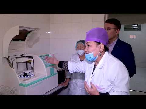 Видео: Ордабасы ауданы Шубарсу ауылында жаңа медицина орталығы ашылды