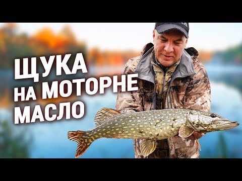 Видео: ПРИМАНКА та ПРОВОДКА на ЩУКУ