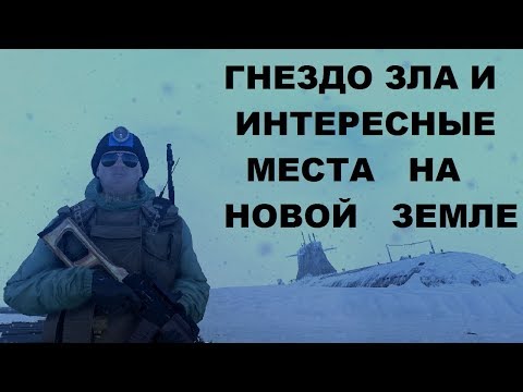 Видео: Сталкер Онлайн Стрим - ЕКБ: Гнездо Зла