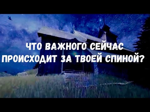 Видео: ЧТО ВАЖНОГО СЕЙЧАС ПРОИСХОДИТ ЗА ТВОЕЙ СПИНОЙ? 