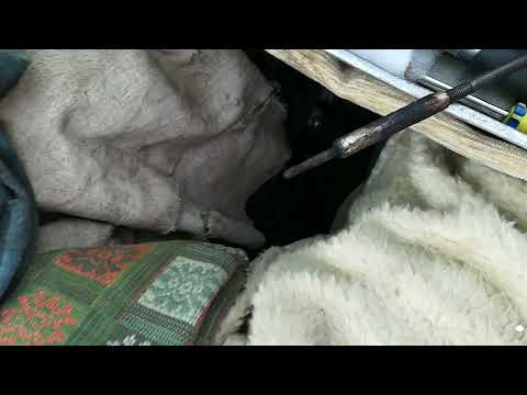 Видео: SsangYong Kyron со Староминской свеча накала 4-го цилиндра сломалась высверливание